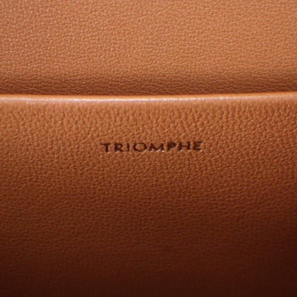 Celine Classic Triomphe Bag Canvas Tan - Picture 15 of 16